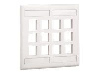 Panduit NetKey Flush Mount Screw-On Faceplates with Labeling - faceplate