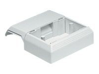 Panduit Pan-Way T-45 Surface Raceway Fitting - cable raceway interface box