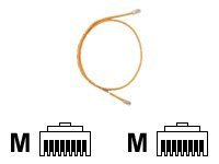 Panduit TX5e patch cable - 7 ft - orange