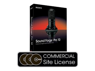 Sound Forge Pro - ( v. 10 ) - license