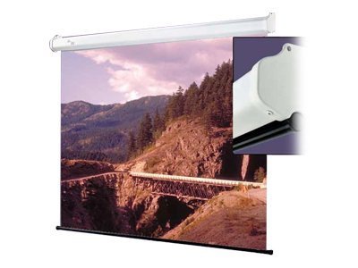 Draper Luma projection screen - 100 in (100 in)