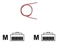 Panduit NetKey patch cable - 14 ft - red
