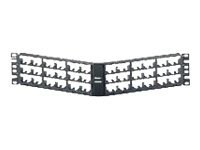 Panduit MINI-COM Angled Modular Faceplate Patch Panels - patch panel - 2U -