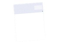 TROY SECURITY Check Paper - Check Top - blank checks