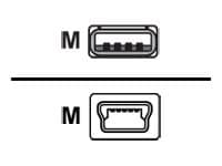 Cisco - USB cable - USB to mini-USB Type B - 6 ft