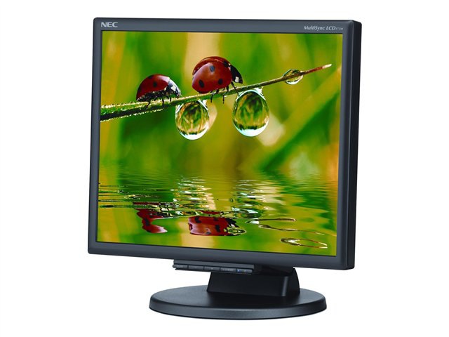 NEC MultiSync LCD175M-BK 17" LCD 

