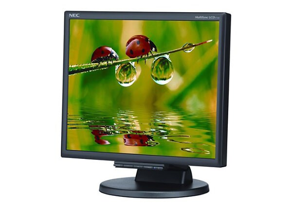 NEC MultiSync LCD175M-BK 17" LCD 
