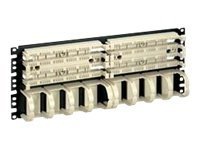 Panduit PAN-PUNCH 110 - cable management panel - 4U - 19"