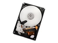 HGST Ultrastar A7K2000 HUA722010CLA330 - hard drive - 1 TB - SATA 3Gb/s