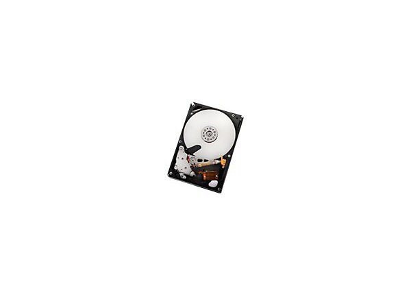 HGST Ultrastar A7K2000 HUA722010CLA330 - hard drive - 1 TB - SATA 3Gb/s