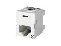 Ortronics Clarity 6 TracJack - modular insert