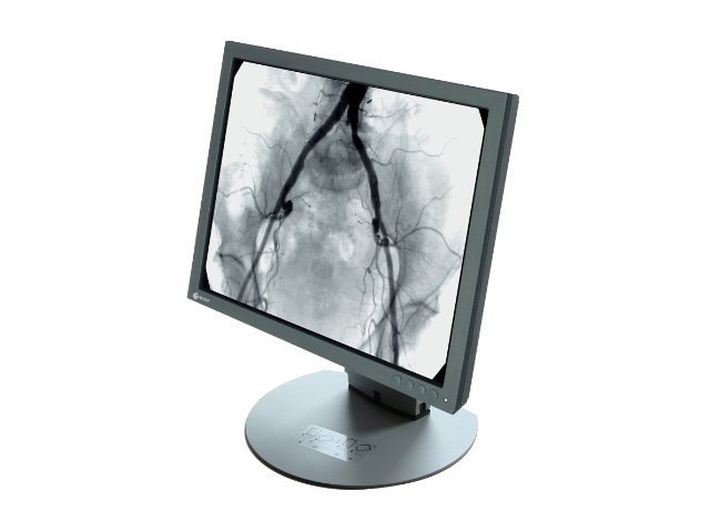 EIZO RadiForce SMD 19102D - LCD monitor - 1MP - grayscale - 19"