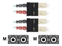 Panduit Opti-Core 10GIG - patch cable - 1 m - aqua