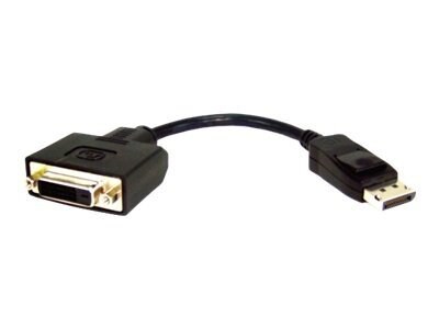 APC Displayport to DVI Adapter
