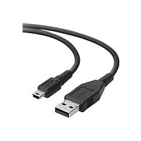 Belkin PRO Series - USB cable - USB to mini-USB Type B - 6 ft