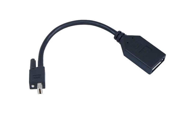 Matrox TripleHead2go upgrade DisplayPort adapter