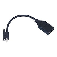 Matrox TripleHead2go upgrade DisplayPort adapter