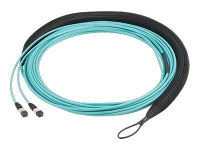 Panduit network cable - 30.5 m
