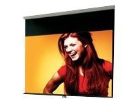 Draper Luma 85" Manual Projection Screen