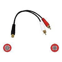 C2G Value Series 6in Value Series One RCA Female to Two RCA Male Y-Cable -