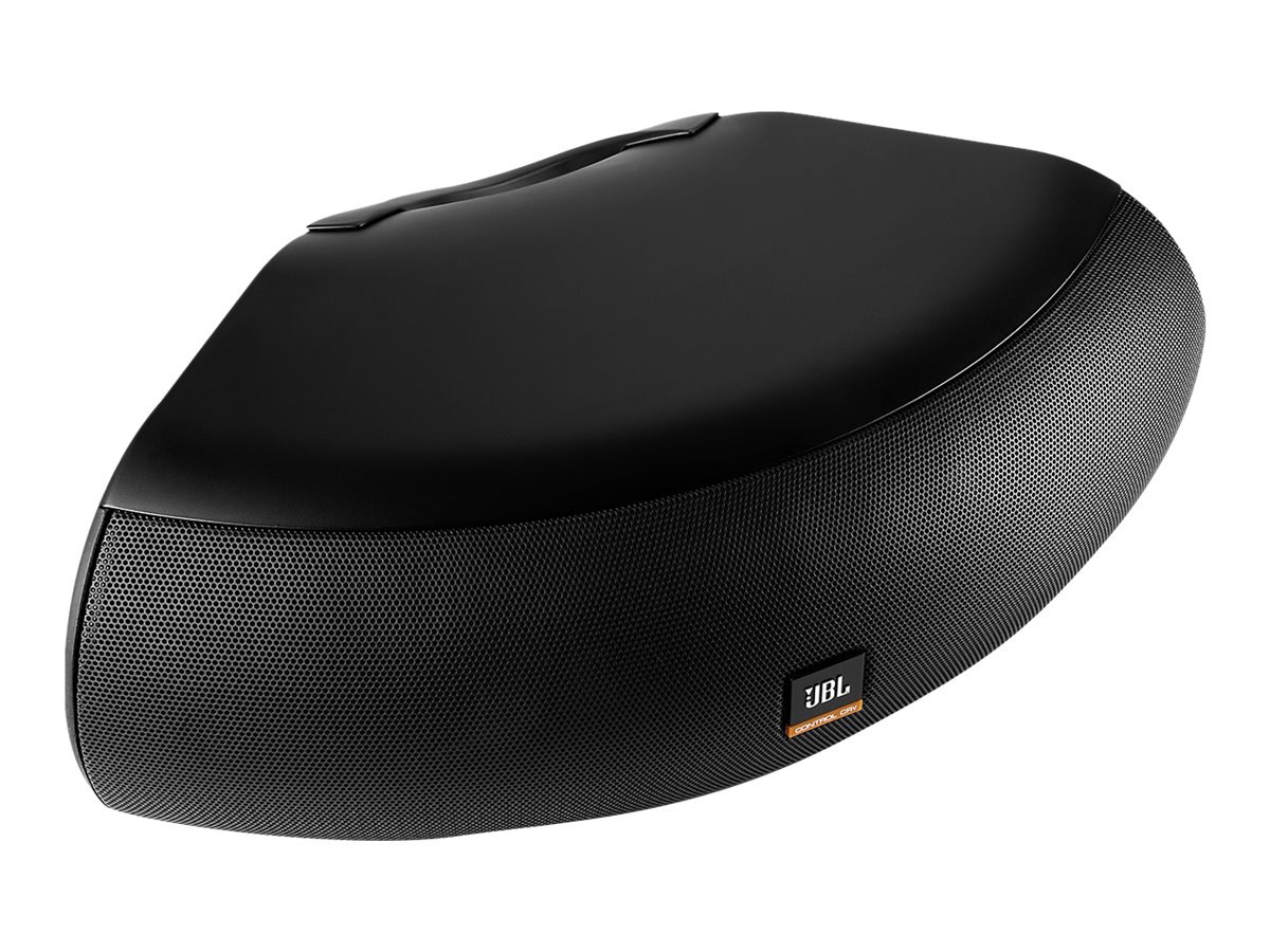 JBL Professional Control Contractor CRV - speaker