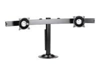 Chief Widescreen Horizontal Dual Monitor Mount - For Displays 10-30" - Black