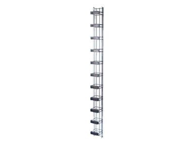 Ortronics Mighty Mo 6 Vertical Cable Management Cage with Latches - rack cable management panel (vertical)