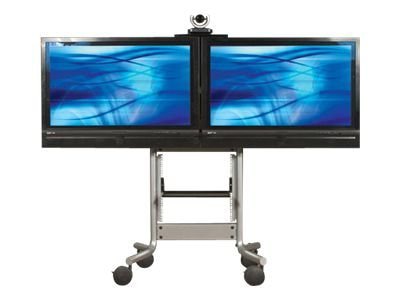 Avteq RPS Series 500L cart - for 2 LCD displays