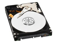 WD Blue WD3200BPVT - hard drive - 320 GB - SATA-300