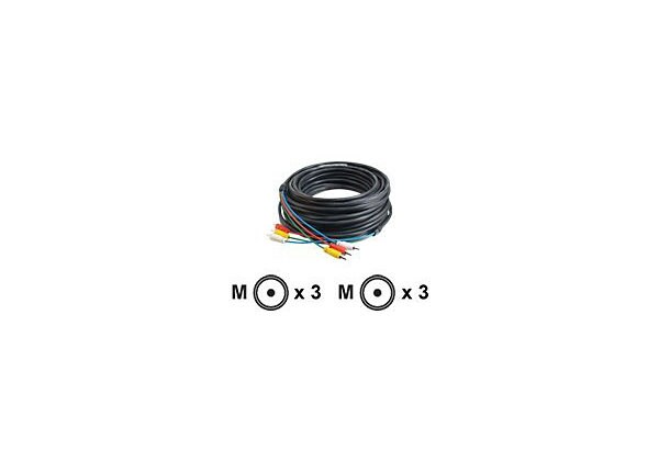 C2G 50ft Composite Video and Stereo Audio Cable with Low Profile Connectors M/M - Plenum CMP-Rated - video / audio cable