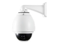 Vivotek SD7313 - network camera
