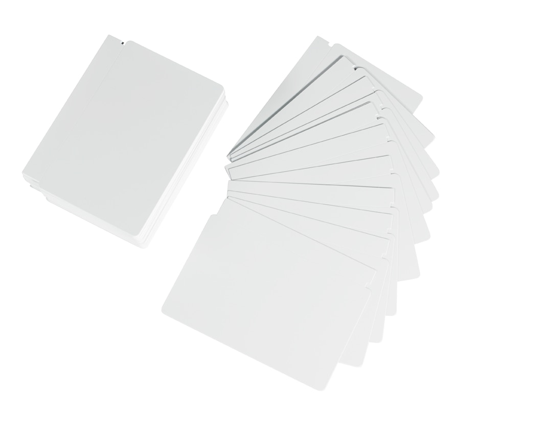 Zebra Color - cards - 500 card(s) -
