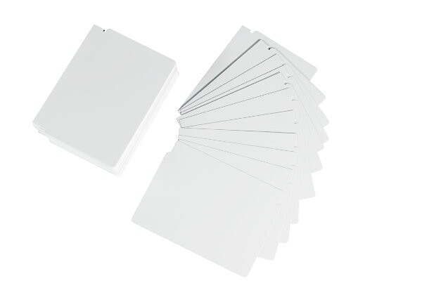Zebra Color - cards - 500 card(s) -