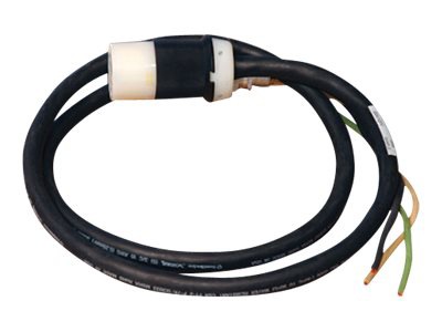 Tripp Lite 10ft Single Phase Whip 208/240V L6-30R for Breakered 3-Phase Dis