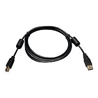 Tripp Lite 6ft USB 2.0 Hi-Speed A/B Device Cable Ferrite Chokes M/M 6'