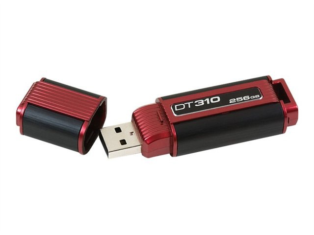 Kingston DataTraveler 310 - USB flash drive - 256 GB