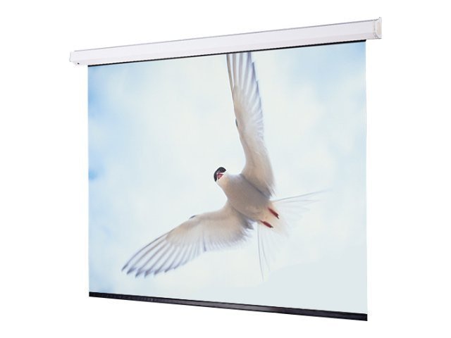 Draper Targa 137" Projection Screen
