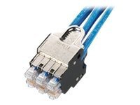 Panduit QuickNet Plug Pack Cable Assembly - network cable - 10 ft