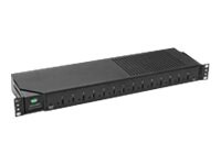 Digi AnywhereUSB /14 - hub - 14 ports - managed - rack-mountable