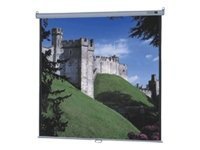 Da-Lite Model B with CSR Matte White - projection screen - 100" (254 cm)