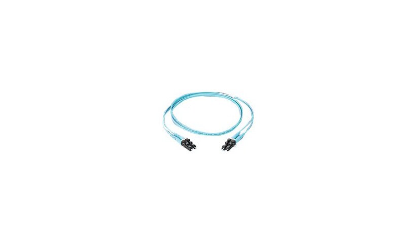 Panduit Opti-Core 10GIG - patch cable - 1 m