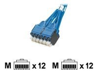 Panduit QuickNet Plug Pack Cable Assembly - network cable - 14 ft - blue