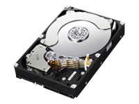 Samsung Spinpoint F4EG HD204UI - hard drive - 2 TB - SATA-300