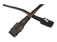 LSI SAS internal cable - 2 ft