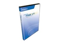 Pervasive PSQL v11 Server 32-bit for Windows - ( v. 11 ) - license