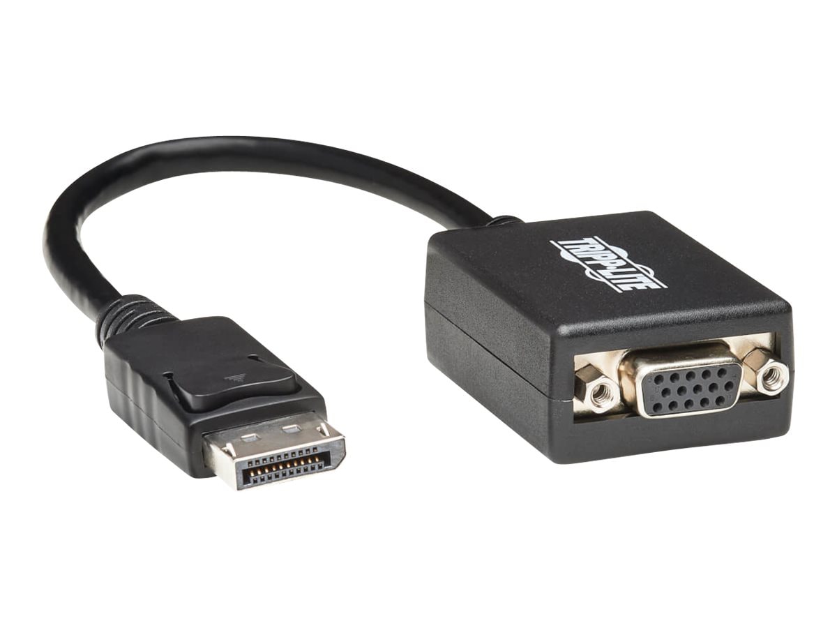 Cable Matters DisplayPort to DVI Cable (DP to DVI Cable) 6 Feet