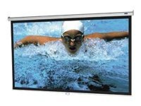 DA-LITE 94" PULL DOWN SCREEN