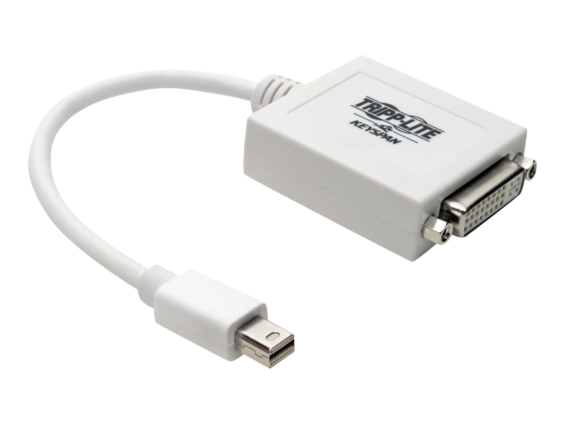 Tripp Lite 6in Mini DisplayPort to DVI Adapter Converter mDP to DVI-I M/F 6" - video converter - white