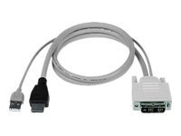 NTI video / USB cable - 6 ft