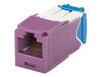 Panduit Mini-Com TX6A UTP Jack Module
